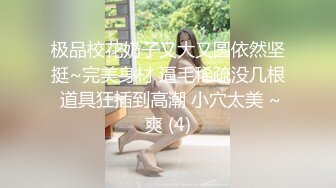 麻豆传媒 mcy-0186 百变女友的100种做爱体验-邓紫晴