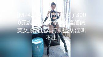 坚挺大奶丰满熟女阿姨偷情