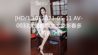 [HD/1.3G] 2023-05-11 AV-0033大像传媒之大象新春多人特別企劃