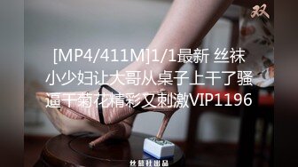 MD0029 麻豆AV MD 成人游戏 成人游戏你想要打电玩还是要打炮呢 这游戏要天天玩 徐韵珊