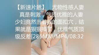 女主K 圣诞麋鹿