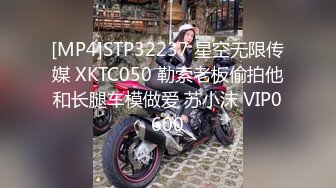 新鲜出炉会所重磅首发 万人求档推推网红亚裔猛女soul69 百变COSER[346P+141V/1.02G]