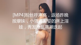 麻豆传媒 MSD112 巨乳按摩惹火上身