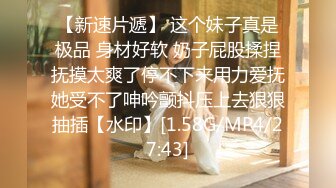 [MP4]高颜值花臂纹身嫩妹子摸逼口交调情沙发上操抬腿侧入猛操