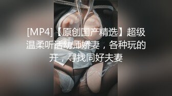 新收的小M 来了