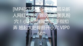 [MP4/ 609M] 国内厕拍牛人潜入商场女厕 全景后拍顾客和售货员尿尿几个屁股很有撸点