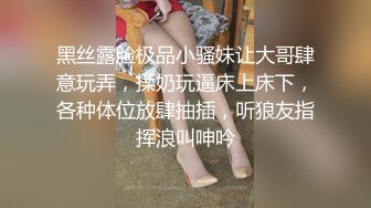 《稀缺☀️资源》众多女主SM调教 各种反差婊 穷人女神 富人精盆 少见国产职业SM (1)