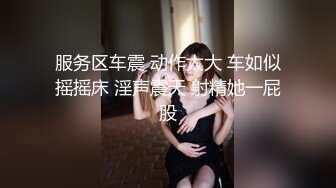 服务区车震 动作太大 车如似摇摇床 淫声震天 射精她一屁股