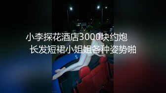 小李探花酒店3000块约炮❤️长发短裙小姐姐各种姿势啪