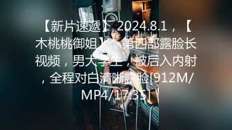 大奶骚气少妇情趣丝袜玩3P 双洞齐入肛交深喉对白清晰