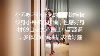 小乔吃不饱新来的极品嫩模被纹身小哥疯狂蹂躏，性感好身材69口交大鸡巴让小哥舔逼，多体位蹂躏抽插表情好骚