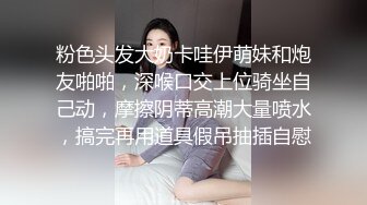 MCY-0229 夏晴子 迷奸痴迷已久的性感大嫂 沉迷背德快感 麻豆传媒映画