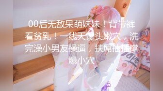 【超美淫娃女神】Vivian姐极品女机长约炮女乘客 黑丝高跟制服诱惑 阳具在小穴里搅动抽插 深情后入顶宫撞击