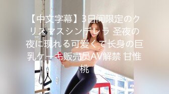 【中文字幕】3日间限定のクリスマスシンデレラ 圣夜の夜に现れる可爱くて长身の巨乳ケーキ贩売员AV解禁 甘惟桃