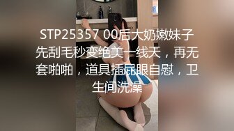 酒店约炮单位熟女会计梅姐第一季