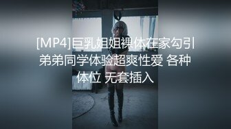 后入骚秘书