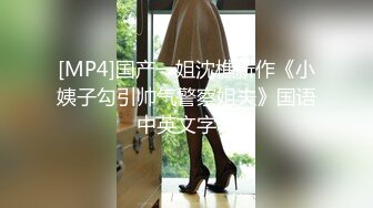 邻人トラブル！邻のDQNな巨乳女が红潮した颜で胜手に上がり込んできて… 野々宫みさと