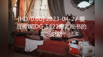 [HD/0.6G] 2023-04-27 爱豆传媒IDG-5422爆乳秘书的职场之路