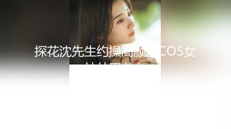 探花沈先生约操高颜值COS女神外围美女