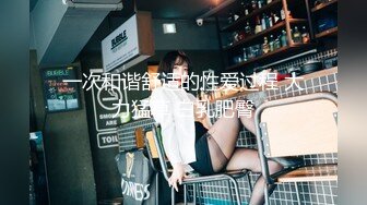 酒店大堂女厕全景偷拍 多位极品高跟少妇各种姿势嘘嘘